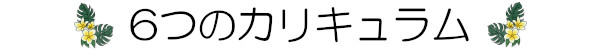 6つのカリキュラム